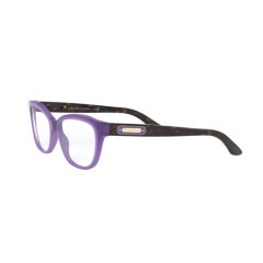 Ralph Lauren RL 6194 - 5337 Violettes Opalin