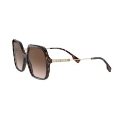 Burberry BE 4324 Isabella 300213 Dunkles Havanna
